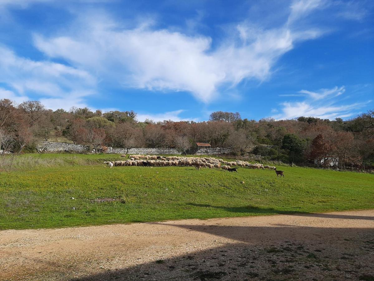 アルベロベッロ Trulli Panoramici Bed & Breakfast エクステリア 写真